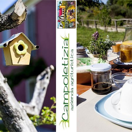 Agriturismo Campoletizia Miglianico Экстерьер фото