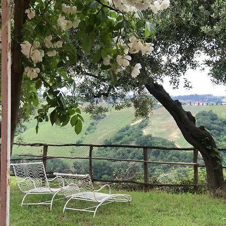 Agriturismo Campoletizia Miglianico Экстерьер фото