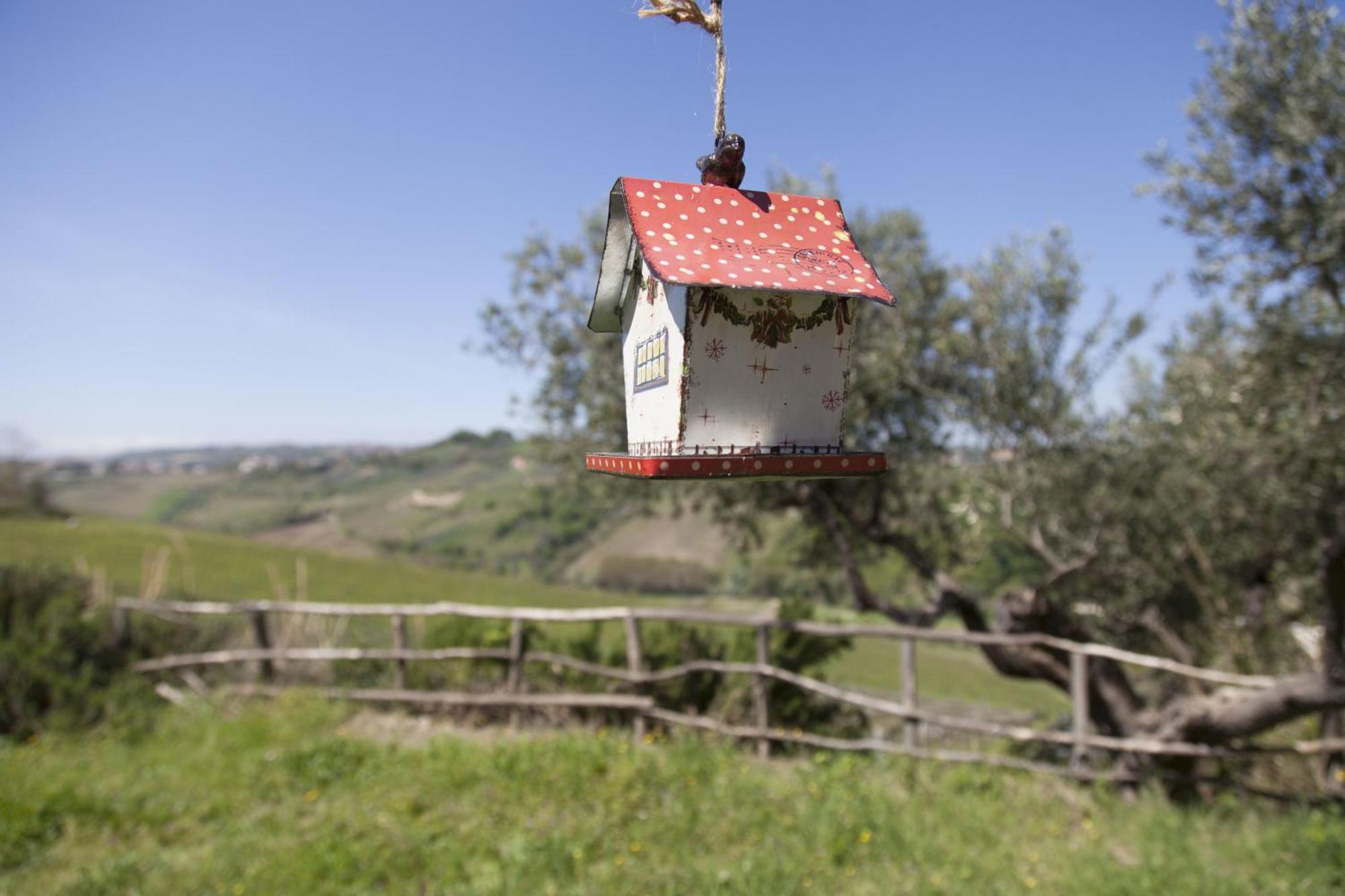 Agriturismo Campoletizia Miglianico Экстерьер фото