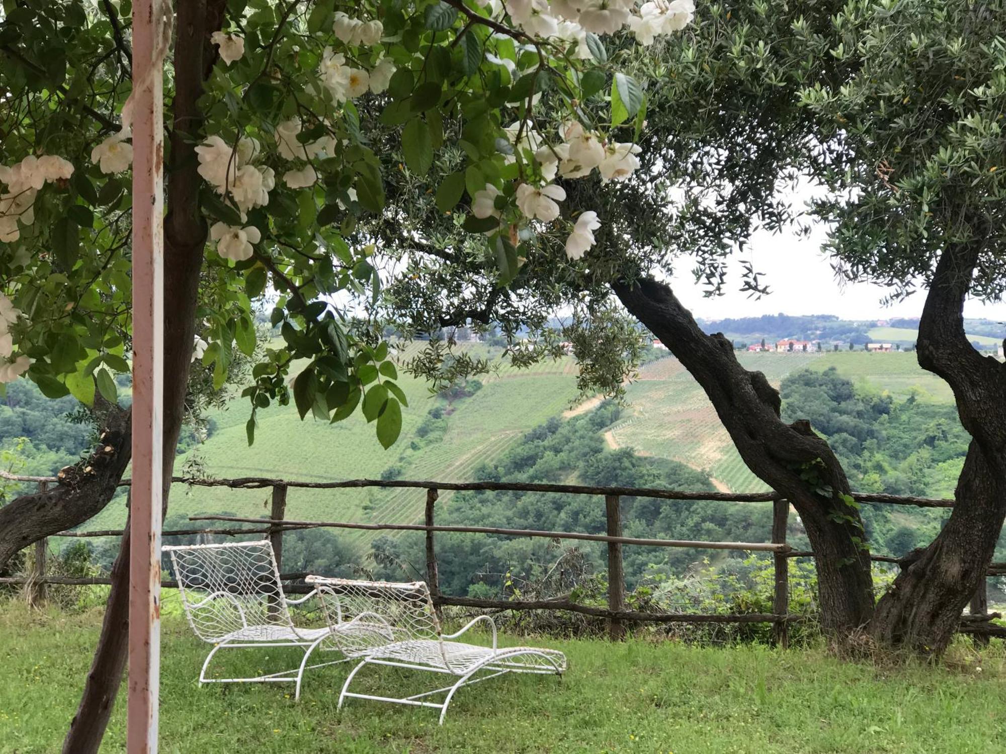 Agriturismo Campoletizia Miglianico Экстерьер фото