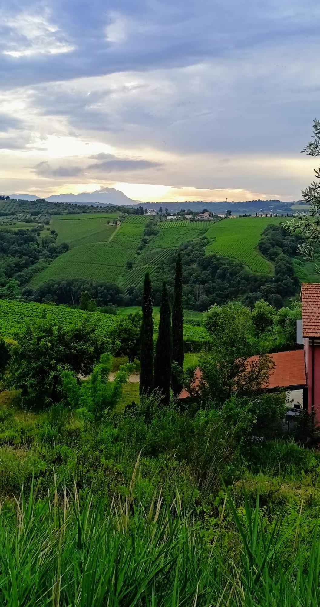 Agriturismo Campoletizia Miglianico Экстерьер фото