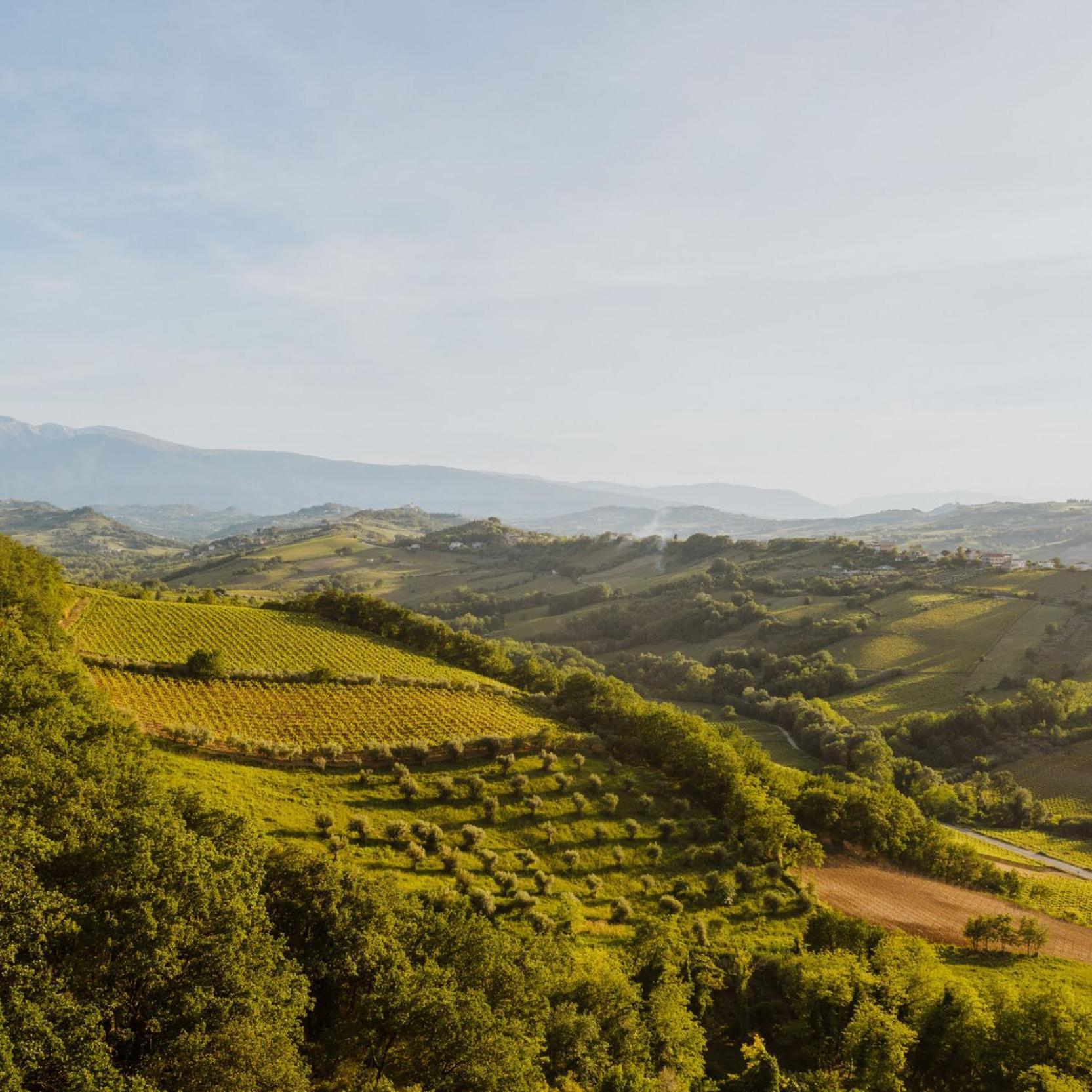 Agriturismo Campoletizia Miglianico Экстерьер фото