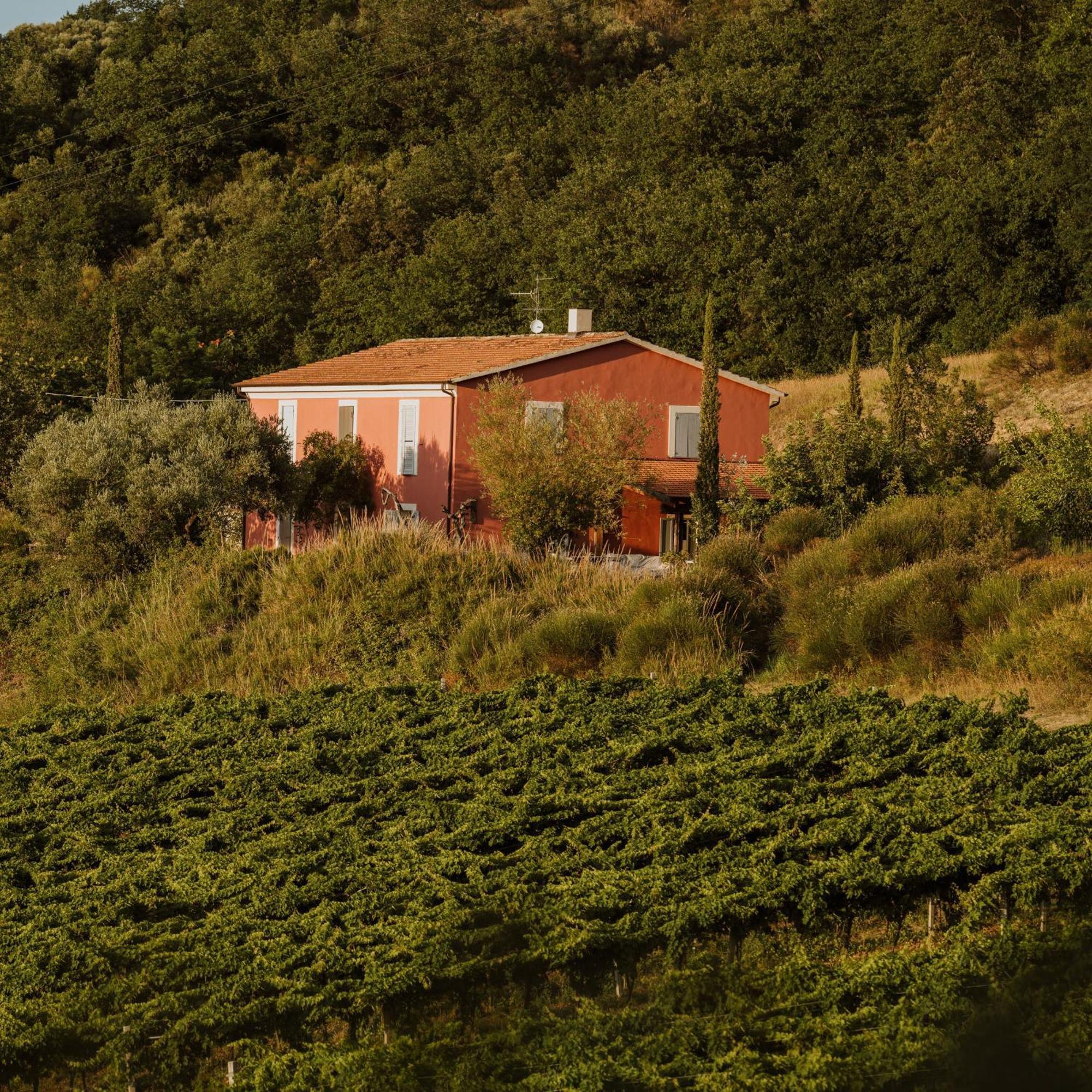 Agriturismo Campoletizia Miglianico Экстерьер фото