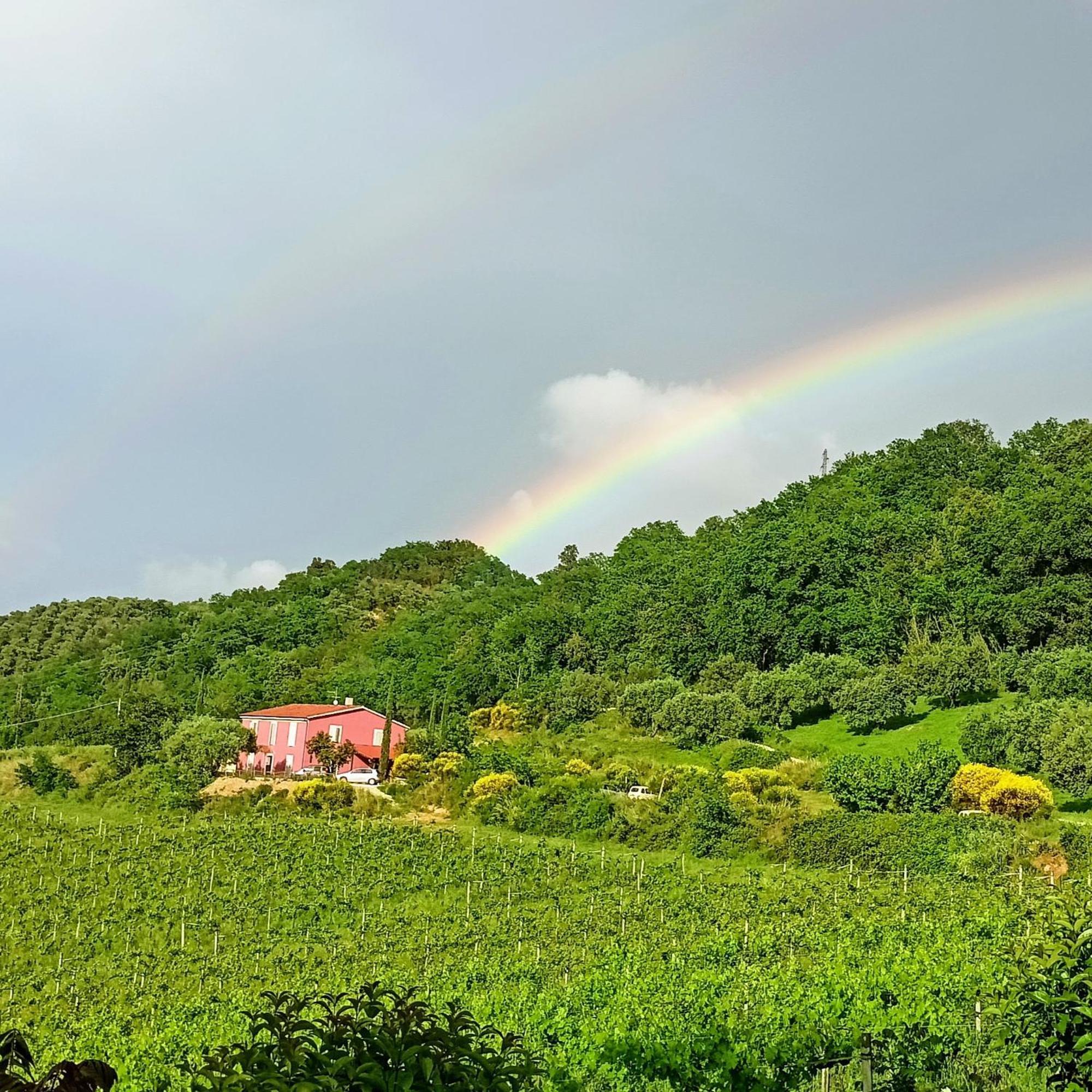 Agriturismo Campoletizia Miglianico Экстерьер фото